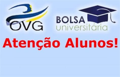 ovg bolsa